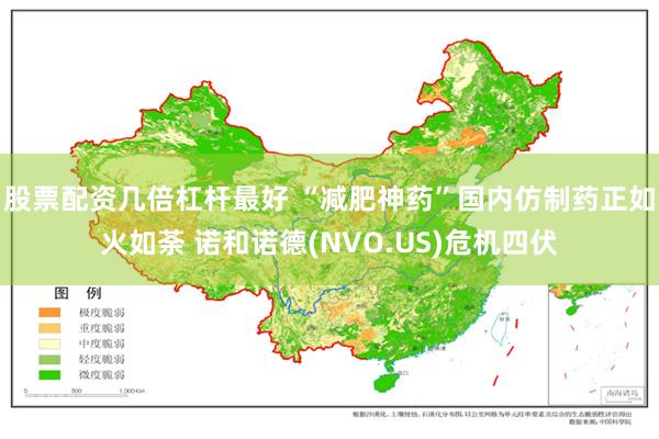 股票配资几倍杠杆最好 “减肥神药”国内仿制药正如火如荼 诺和诺德(NVO.US)危机四伏