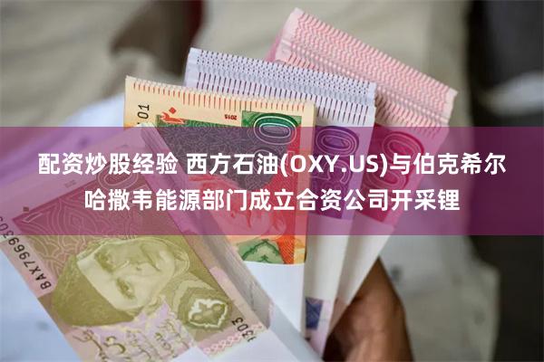 配资炒股经验 西方石油(OXY.US)与伯克希尔哈撒韦能源部门成立合资公司开采锂