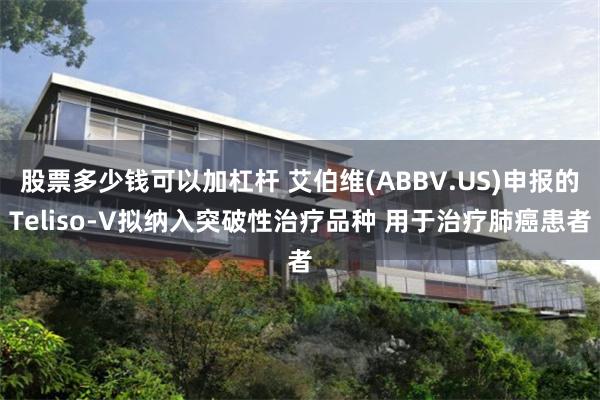 股票多少钱可以加杠杆 艾伯维(ABBV.US)申报的Teliso-V拟纳入突破性治疗品种 用于治疗肺癌患者