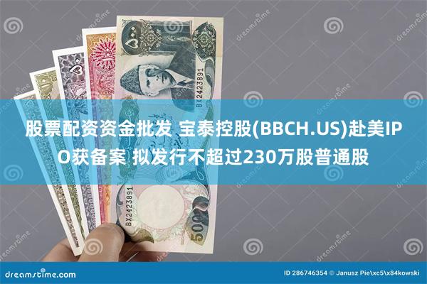 股票配资资金批发 宝泰控股(BBCH.US)赴美IPO获备案 拟发行不超过230万股普通股