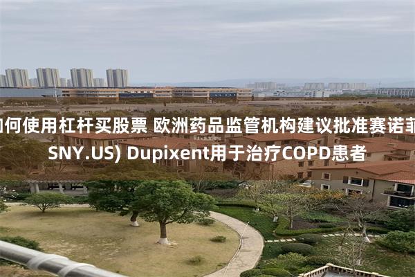 如何使用杠杆买股票 欧洲药品监管机构建议批准赛诺菲(SNY.US) Dupixent用于治疗COPD患者