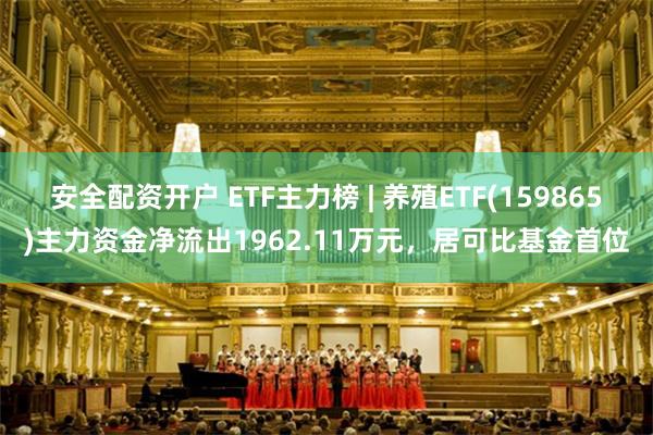 安全配资开户 ETF主力榜 | 养殖ETF(159865)主力资金净流出1962.11万元，居可比基金首位