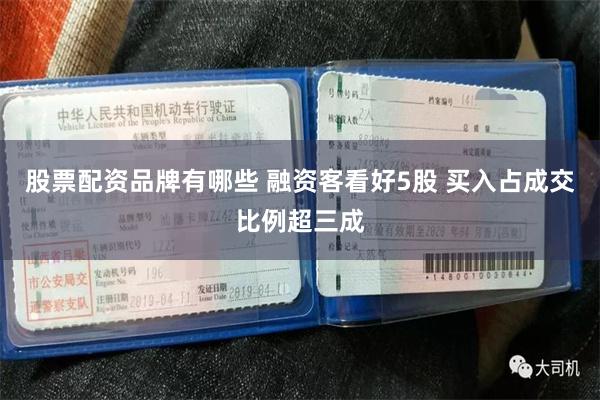 股票配资品牌有哪些 融资客看好5股 买入占成交比例超三成