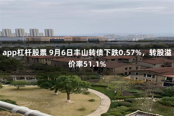 app杠杆股票 9月6日丰山转债下跌0.57%，转股溢价率51.1%