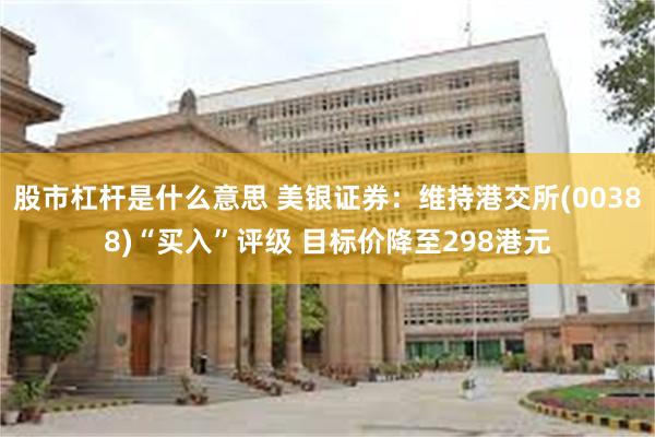 股市杠杆是什么意思 美银证券：维持港交所(00388)“买入”评级 目标价降至298港元