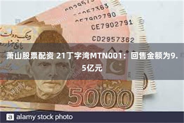 萧山股票配资 21丁字湾MTN001：回售金额为9.5亿元