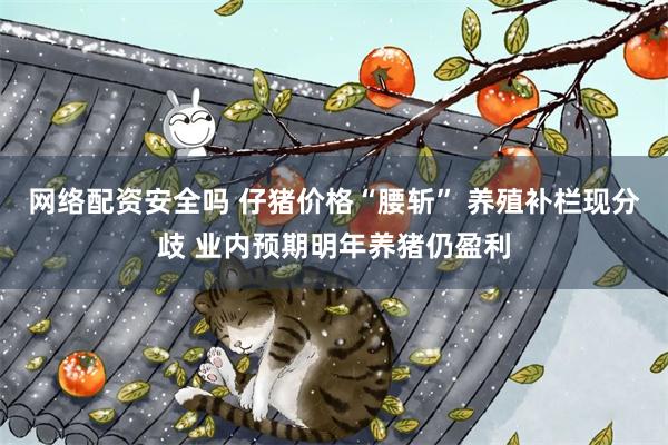 网络配资安全吗 仔猪价格“腰斩” 养殖补栏现分歧 业内预期明年养猪仍盈利