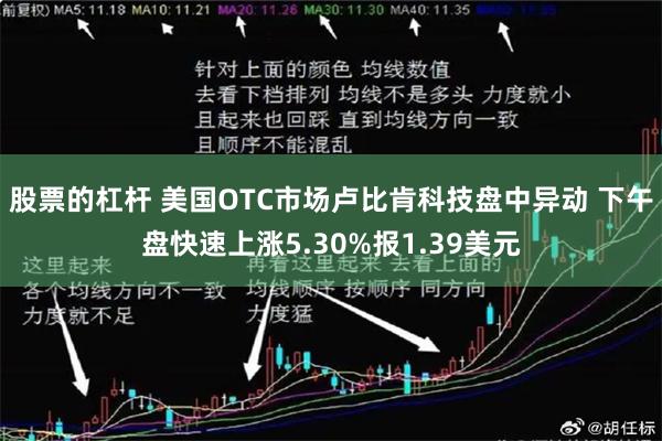 股票的杠杆 美国OTC市场卢比肯科技盘中异动 下午盘快速上涨5.30%报1.39美元