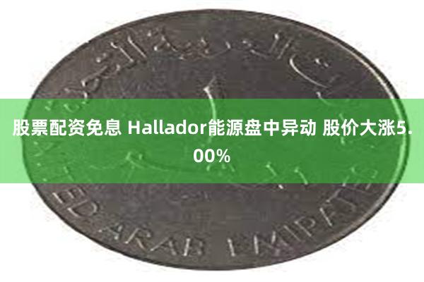 股票配资免息 Hallador能源盘中异动 股价大涨5.00%