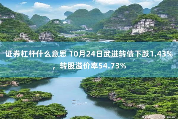 证券杠杆什么意思 10月24日武进转债下跌1.43%，转股溢价率54.73%