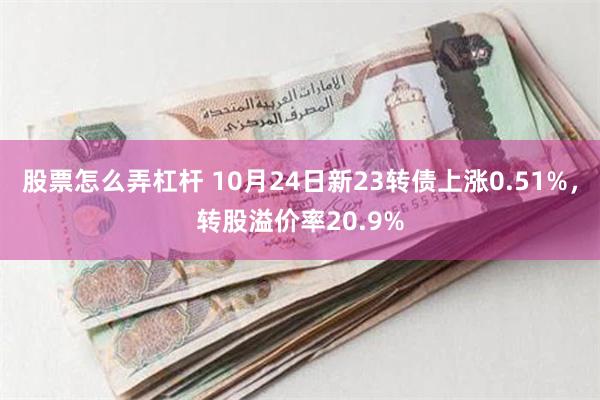 股票怎么弄杠杆 10月24日新23转债上涨0.51%，转股溢价率20.9%