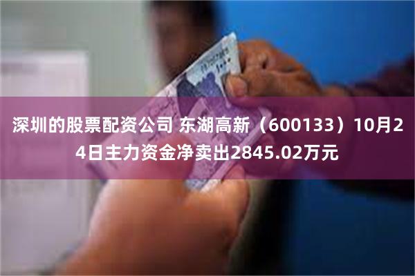 深圳的股票配资公司 东湖高新（600133）10月24日主力资金净卖出2845.02万元