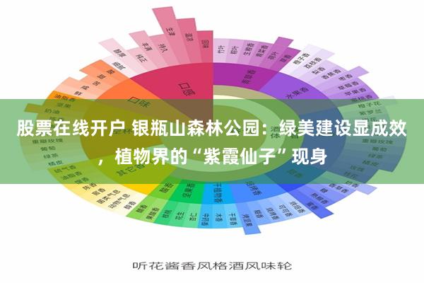 股票在线开户 银瓶山森林公园：绿美建设显成效，植物界的“紫霞仙子”现身