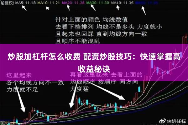 炒股加杠杆怎么收费 配资炒股技巧：快速掌握高收益秘诀