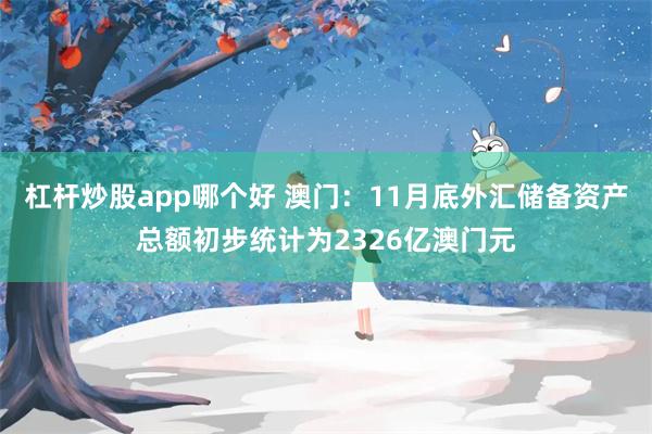 杠杆炒股app哪个好 澳门：11月底外汇储备资产总额初步统计为2326亿澳门元