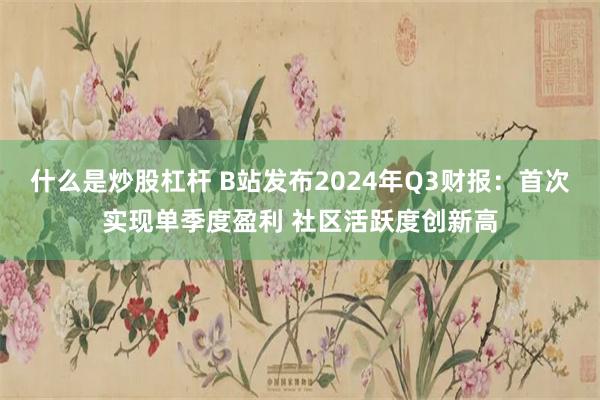 什么是炒股杠杆 B站发布2024年Q3财报：首次实现单季度盈利 社区活跃度创新高