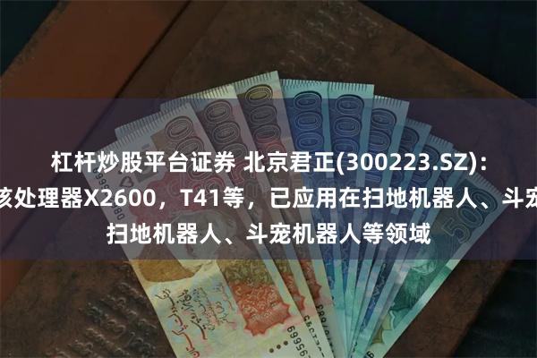 杠杆炒股平台证券 北京君正(300223.SZ)：推出的异构多核处理器X2600，T41等，已应用在扫地机器人、斗宠机器人等领域