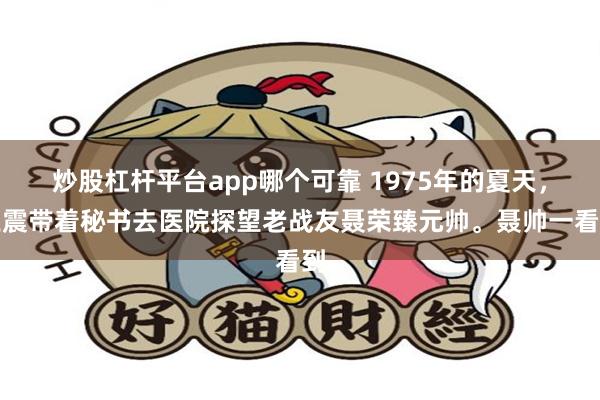 炒股杠杆平台app哪个可靠 1975年的夏天，王震带着秘书去医院探望老战友聂荣臻元帅。聂帅一看到