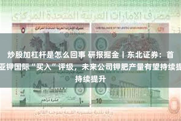 炒股加杠杆是怎么回事 研报掘金丨东北证券：首予亚钾国际“买入”评级，未来公司钾肥产量有望持续提升