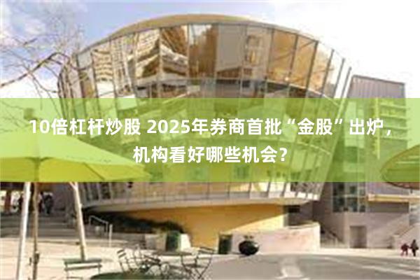 10倍杠杆炒股 2025年券商首批“金股”出炉，机构看好哪些机会？