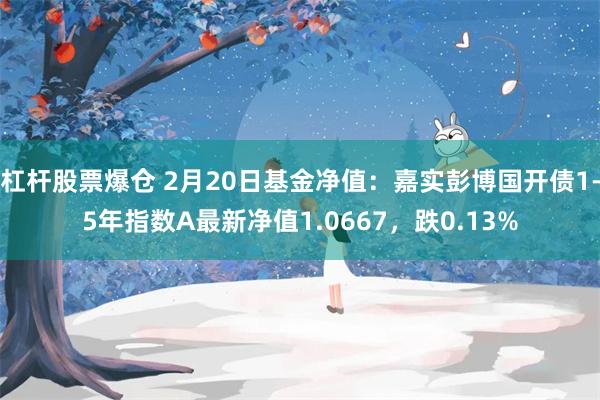 杠杆股票爆仓 2月20日基金净值：嘉实彭博国开债1-5年指数A最新净值1.0667，跌0.13%