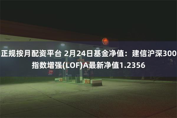 正规按月配资平台 2月24日基金净值：建信沪深300指数增强(LOF)A最新净值1.2356