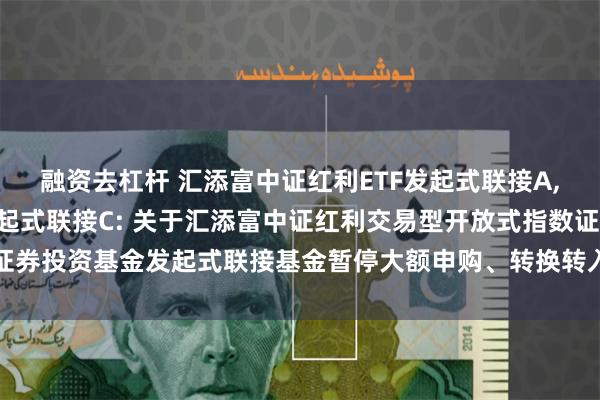融资去杠杆 汇添富中证红利ETF发起式联接A,汇添富中证红利ETF发起式联接C: 关于汇添富中证红利交易型开放式指数证券投资基金发起式联接基金暂停大额申购、转换转入、定期定额投资业务的公告