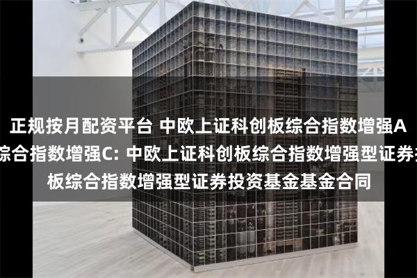 正规按月配资平台 中欧上证科创板综合指数增强A,中欧上证科创板综合指数增强C: 中欧上证科创板综合指数增强型证券投资基金基金合同