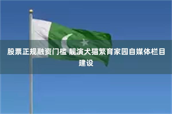 股票正规融资门槛 靓演犬猫繁育家园自媒体栏目建设